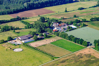Photographie aérienne de Ranch Palatino à Steinweiler dans le département Rhénanie-Palatinat, Allemagne