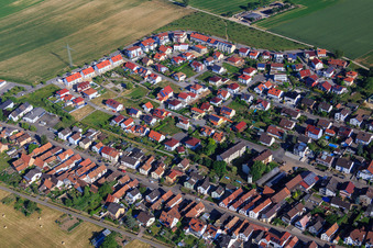 Vue aérienne de Sentier du vignoble à Kandel dans le département Rhénanie-Palatinat, Allemagne
