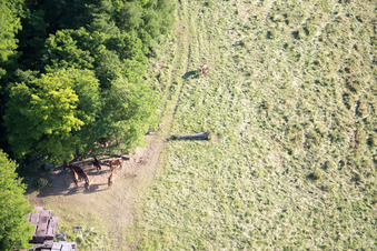 Neewiller-près-Lauterbourg dans le département Bas Rhin, France depuis l'avion