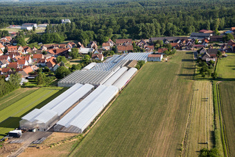 Photographie aérienne de Niederrœdern dans le département Bas Rhin, France