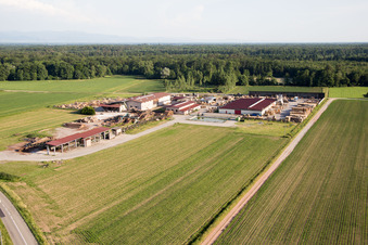 Niederrœdern dans le département Bas Rhin, France hors des airs