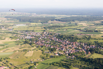 Vue aérienne de Champs agricoles et terres agricoles à Preuschdorf dans le département Bas Rhin, France