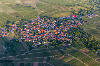 Vue aérienne de Vignobles en Schweigen à le quartier Schweigen in Schweigen-Rechtenbach dans le département Rhénanie-Palatinat, Allemagne