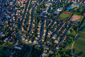 Vue aérienne de Pétronellastr à Bad Bergzabern dans le département Rhénanie-Palatinat, Allemagne