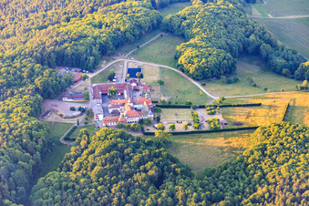 Pension pour chevaux au monastère de Liebfrauenberg à Bad Bergzabern dans le département Rhénanie-Palatinat, Allemagne vue d'en haut