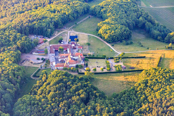 Pension pour chevaux au monastère de Liebfrauenberg à Bad Bergzabern dans le département Rhénanie-Palatinat, Allemagne depuis l'avion