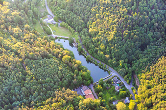 Vue aérienne de Étang aux cygnes sur la Kurtalstraße (B427) à Bad Bergzabern dans le département Rhénanie-Palatinat, Allemagne