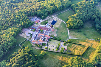 Vue d'oiseau de Pension pour chevaux au monastère de Liebfrauenberg à Bad Bergzabern dans le département Rhénanie-Palatinat, Allemagne