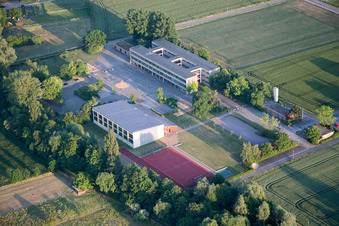 Vue d'oiseau de Quartier Ingenheim in Billigheim-Ingenheim dans le département Rhénanie-Palatinat, Allemagne