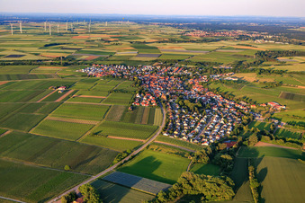 Vue aérienne de Vue du village depuis l'ouest à Insheim dans le département Rhénanie-Palatinat, Allemagne