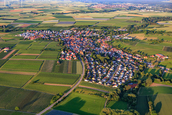 Vue aérienne de Vue du village depuis l'ouest à Insheim dans le département Rhénanie-Palatinat, Allemagne