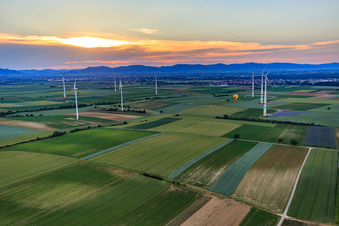 Vue aérienne de Montgolfière entre les éoliennes à Offenbach an der Queich dans le département Rhénanie-Palatinat, Allemagne