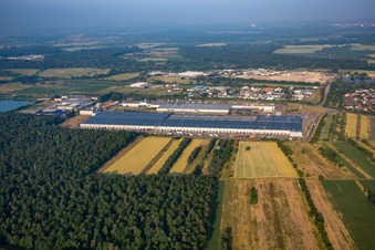 Vue aérienne de Pneus Goodyear Dunlop Allemagne à Philippsburg dans le département Bade-Wurtemberg, Allemagne