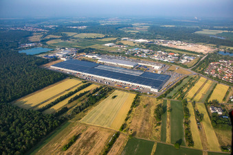 Vue aérienne de Pneus Goodyear Dunlop Allemagne à Philippsburg dans le département Bade-Wurtemberg, Allemagne