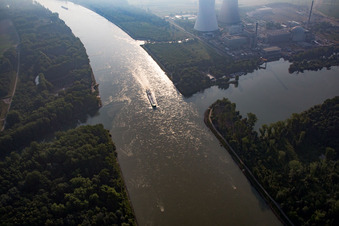 Vue aérienne de Vieux Rhin à le quartier Mechtersheim in Römerberg dans le département Rhénanie-Palatinat, Allemagne