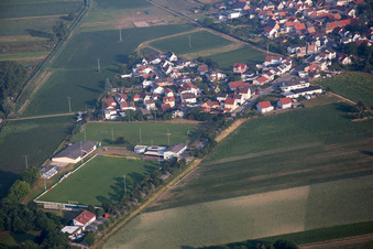 Vue aérienne de Terrain de sport TuS 1914 eV à le quartier Mechtersheim in Römerberg dans le département Rhénanie-Palatinat, Allemagne