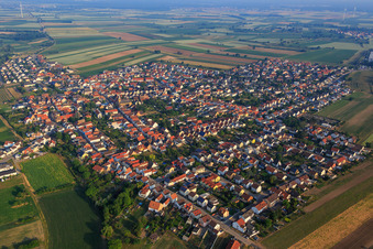 Vue aérienne de Rue Rheinfeld à le quartier Mechtersheim in Römerberg dans le département Rhénanie-Palatinat, Allemagne