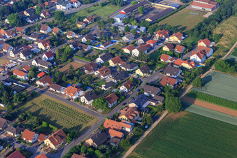 Vue aérienne de Amselweg à le quartier Niederlustadt in Lustadt dans le département Rhénanie-Palatinat, Allemagne