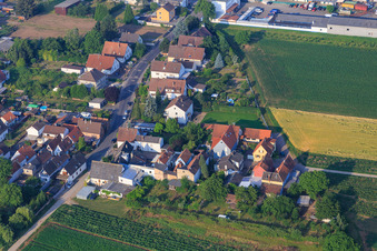 Vue aérienne de Angelstr à le quartier Niederlustadt in Lustadt dans le département Rhénanie-Palatinat, Allemagne