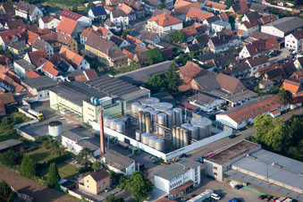 Vue aérienne de Bâtiments et halls de production à le quartier Niederlustadt in Lustadt dans le département Rhénanie-Palatinat, Allemagne