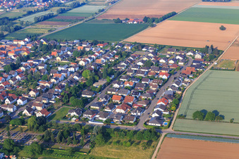 Vue aérienne de Goethester à le quartier Niederlustadt in Lustadt dans le département Rhénanie-Palatinat, Allemagne
