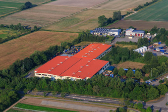 Vue aérienne de Bührmann Wines GmbH à Zeiskam dans le département Rhénanie-Palatinat, Allemagne