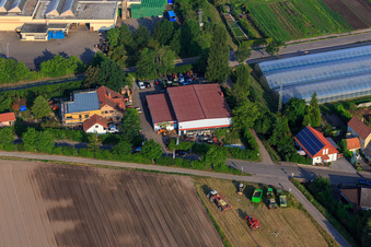 Vue aérienne de Pierres naturelles et transport Kohler à Zeiskam dans le département Rhénanie-Palatinat, Allemagne