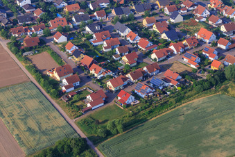 Vue aérienne de Prairies de Haardt à Ottersheim bei Landau dans le département Rhénanie-Palatinat, Allemagne