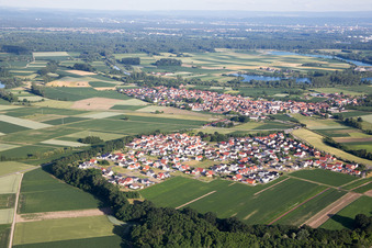 Image drone de Quartier Hardtwald in Neupotz dans le département Rhénanie-Palatinat, Allemagne