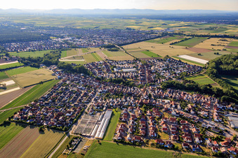 Vue aérienne de Neupotzer Straße à Kuhardt dans le département Rhénanie-Palatinat, Allemagne