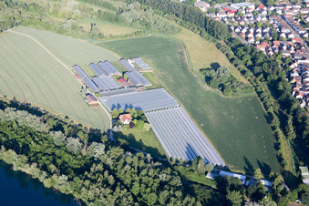 Vue aérienne de Quartier Leopoldshafen in Eggenstein-Leopoldshafen dans le département Bade-Wurtemberg, Allemagne