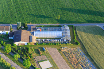 Vue aérienne de Crèche Felix Trauth à Hatzenbühl dans le département Rhénanie-Palatinat, Allemagne