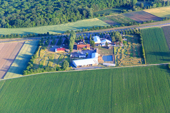 Vue aérienne de Parc de football et de golf du Palatinat du Sud à Adamshof Kandel à Kandel dans le département Rhénanie-Palatinat, Allemagne