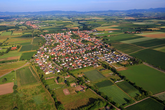 Vue aérienne de Vue d'ensemble du village depuis l'est à Minfeld dans le département Rhénanie-Palatinat, Allemagne