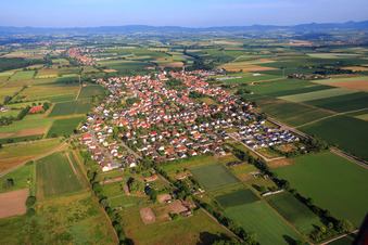 Vue aérienne de Vue d'ensemble du village depuis l'est à Minfeld dans le département Rhénanie-Palatinat, Allemagne