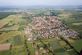 Vue aérienne de Vue des rues et des maisons dans les quartiers résidentiels à Minfeld dans le département Rhénanie-Palatinat, Allemagne