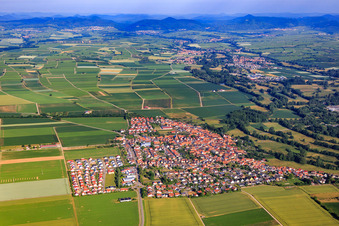 Vue aérienne de Vue d'ensemble du village depuis l'est à Steinweiler dans le département Rhénanie-Palatinat, Allemagne