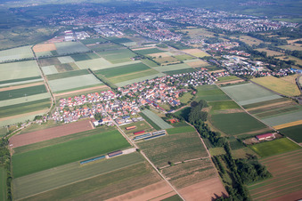 Vue aérienne de Quartier Mörlheim in Landau in der Pfalz dans le département Rhénanie-Palatinat, Allemagne
