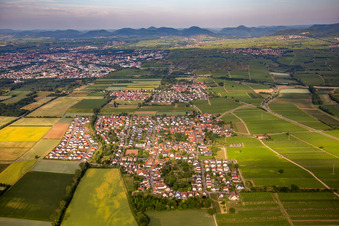 Vue aérienne de De l'est à Bornheim dans le département Rhénanie-Palatinat, Allemagne