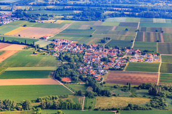 Vue aérienne de Vue d'ensemble du village depuis le sud à Kleinfischlingen dans le département Rhénanie-Palatinat, Allemagne
