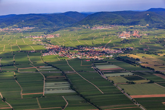 Vue aérienne de Vue d'ensemble de la ville depuis l'est à Edesheim dans le département Rhénanie-Palatinat, Allemagne