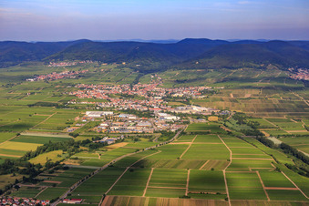 Vue aérienne de Vue d'ensemble de la ville depuis l'est à Edenkoben dans le département Rhénanie-Palatinat, Allemagne