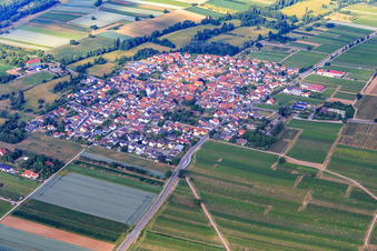 Vue aérienne de Vue d'ensemble du village depuis le nord-est à Venningen dans le département Rhénanie-Palatinat, Allemagne