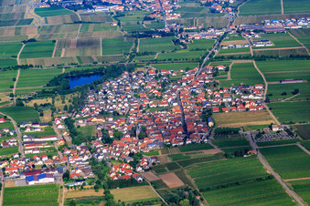 Vue aérienne de Vue d'ensemble du village depuis l'est à Kirrweiler dans le département Rhénanie-Palatinat, Allemagne