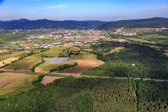 Vue aérienne de Vue d'ensemble de la ville depuis l'est à Neustadt an der Weinstraße dans le département Rhénanie-Palatinat, Allemagne