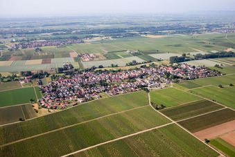 Vue aérienne de Quartier Duttweiler in Neustadt an der Weinstraße dans le département Rhénanie-Palatinat, Allemagne