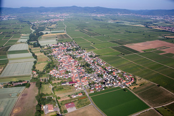 Photographie aérienne de Quartier Duttweiler in Neustadt an der Weinstraße dans le département Rhénanie-Palatinat, Allemagne