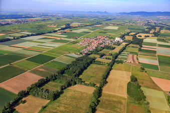 Vue aérienne de Vue d'ensemble du village depuis le nord-est à Freimersheim dans le département Rhénanie-Palatinat, Allemagne