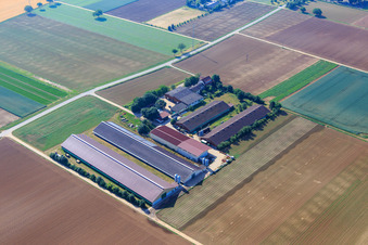 Vue aérienne de Ferme de dindes Wilfried Günther à Zeiskam dans le département Rhénanie-Palatinat, Allemagne