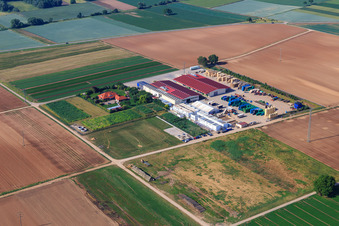 Vue aérienne de Culture de légumes - Dieter Stubenbordt à Zeiskam dans le département Rhénanie-Palatinat, Allemagne